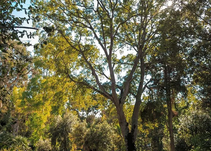 オットーネ ホテル ポルトフェッラーイオ