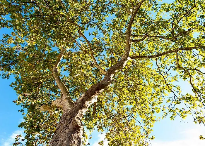 ホテル オットーネ 5*