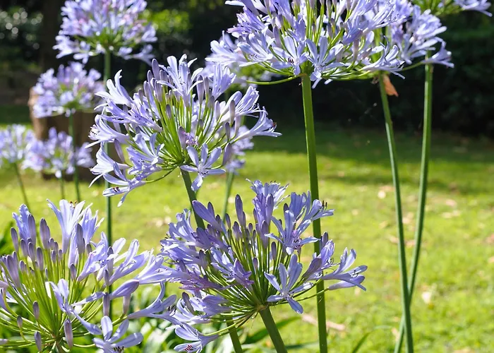 オットーネ ホテル 5*